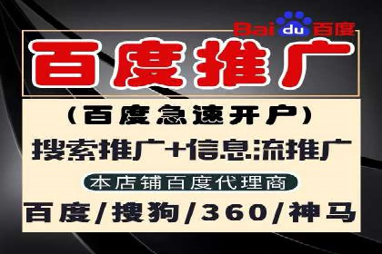 SEO与SEM优化案例：打造企业互联网品牌